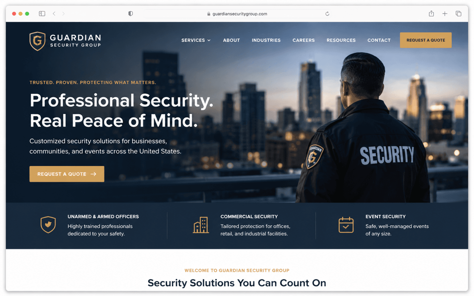Professional security website